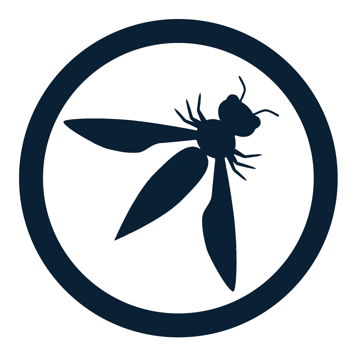 OWASP